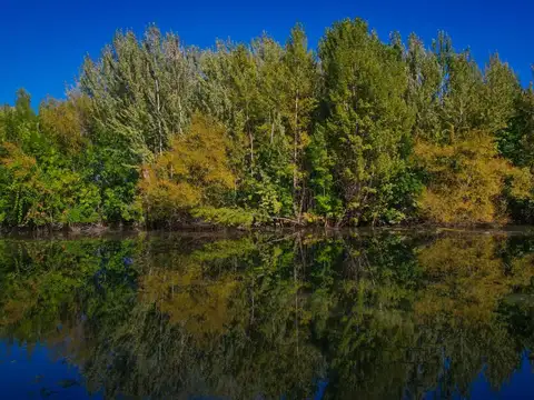 Terreno en Venta en Neuquén, USD 59.211