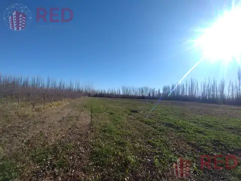Terreno en Venta de 10000,0 m2