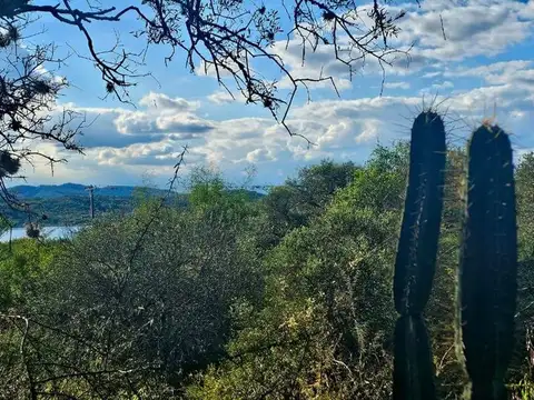 Terreno en Venta de 10000,0 m2