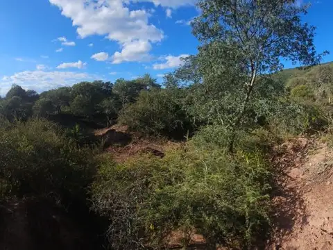 Dique Cabra Corral. Oscar Fortuny S/N 100