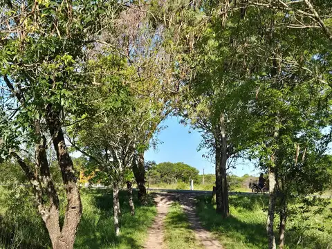 Casa con pileta sobre Ruta 11 camino a Colonia Benítez!