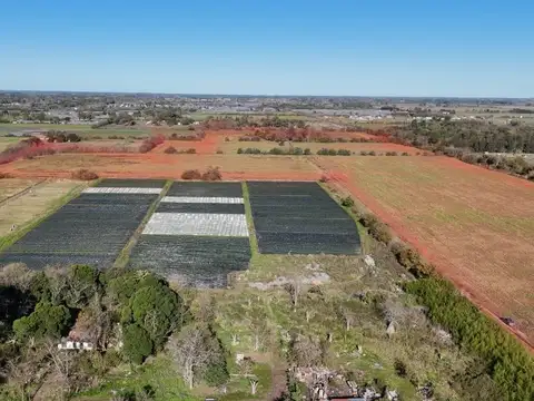 Avenida Ingeniero Allan