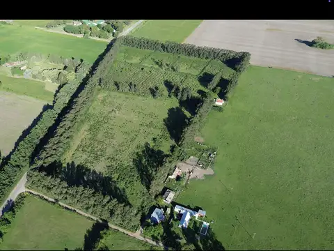 Se vende campo de 8 hectáreas en Baradero