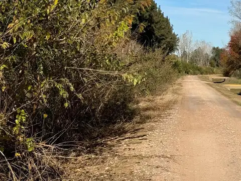 Terreno en Venta en Los Pinos, $ 17.000.000