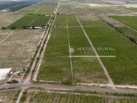 Campo en Venta de 58  ha