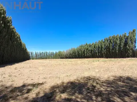 Campo en Paso Aguerre