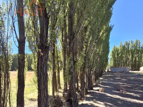 Ruta Provincial N° 20 20