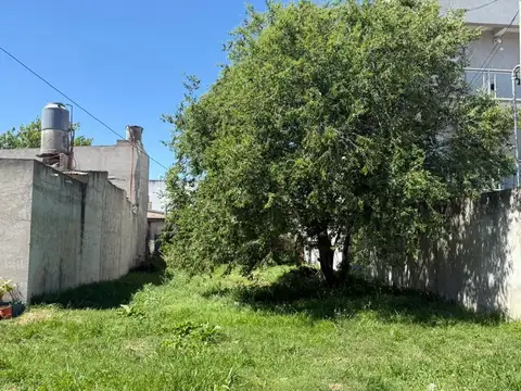 Vélez Sársfield 100