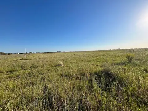 Terreno calle S/N - Zona semi-industrial