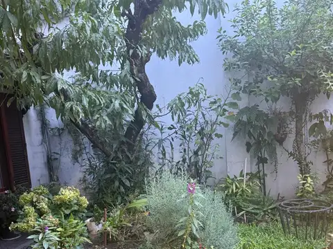 Doctor Ignacio Arieta 2000