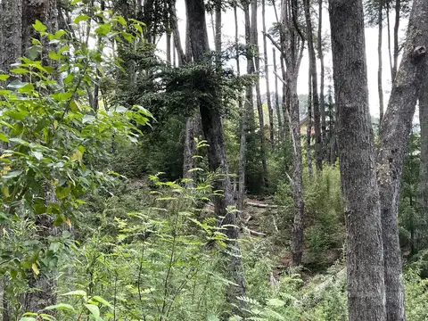Terreno en Venta en Villa la Angostura, USD 230.000