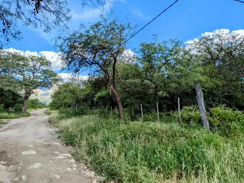 Terreno en Venta de 1600,0 m2