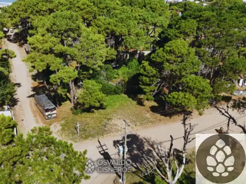 Terreno en Venta 22  mts Fondo