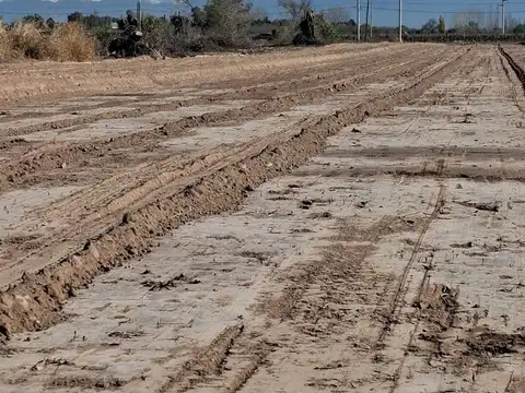 Terreno en Venta de 300,0 m2