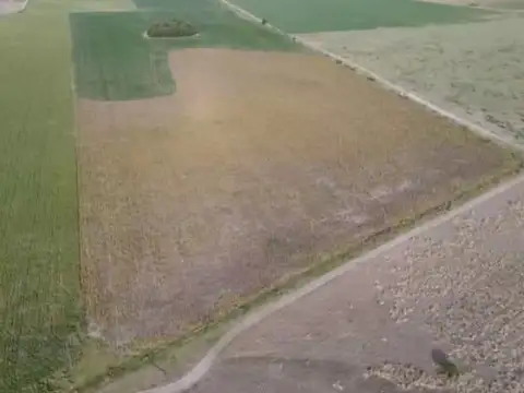 Ruta Provincial N°65 - 1,2 Km