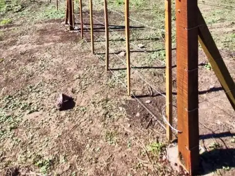 Terreno en Venta en Prossur, USD 30.000