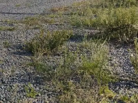 Terreno en Venta en Joaquín Gorina, USD 13.000