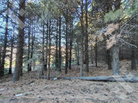 Terreno en Venta en San Martín de los Andes, USD 58.000