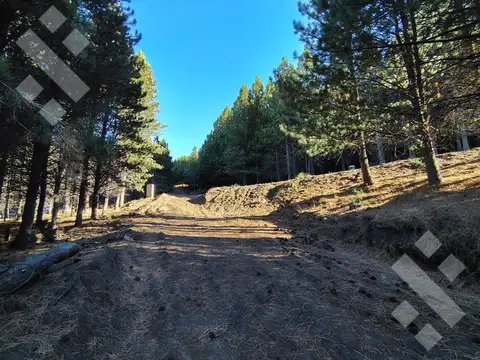 Venta lote 900 m2 - Barrio Cerrado El Remanso - San Martin de los Andes