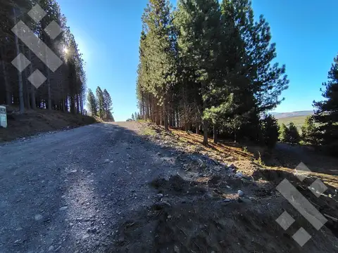 Venta lote 932 m2 - Barrio Cerrado El Remanso - San Martin de los Andes