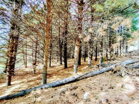 Terreno en Venta de 932,0 m2