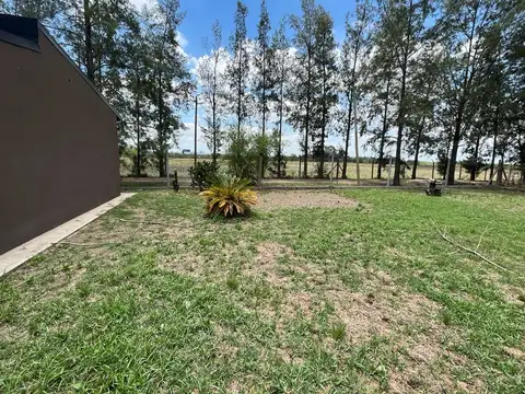 Mendoza 200