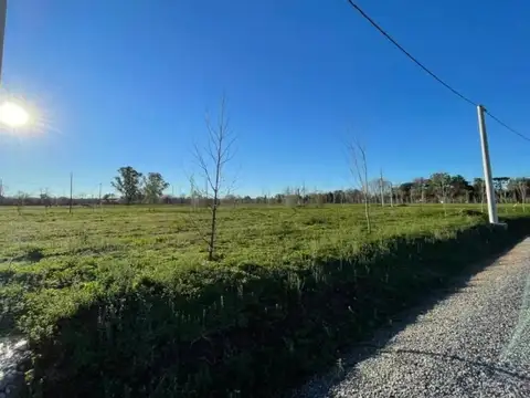 Terreno en Venta de 802,0 m2