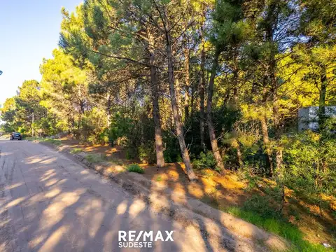 VENTA LOTE DE 920 MTS EN PINAR DEL GOLF