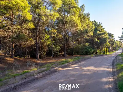 VENTA LOTE DE 920 MTS EN PINAR DEL GOLF