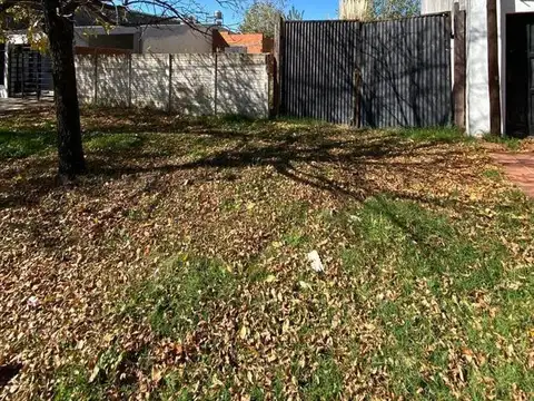 Lote . | Davis al 500