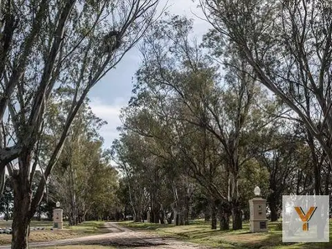 Lagos de San Eliseo
