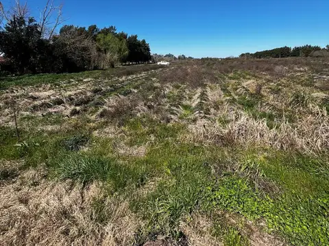 Campo sobre Ruta 192 - Arroyo De La Cruz