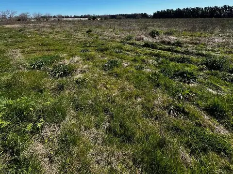 Campo en Arroyo de la Cruz