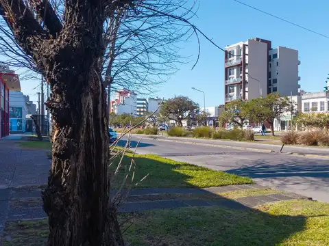 Av. Presidente Perón  al 2700, El Palomar