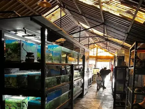 Oficina 40 ambientes con 40 baños