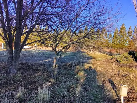 Camino Viejo 365 - Ñirihuau - Dina Huapi