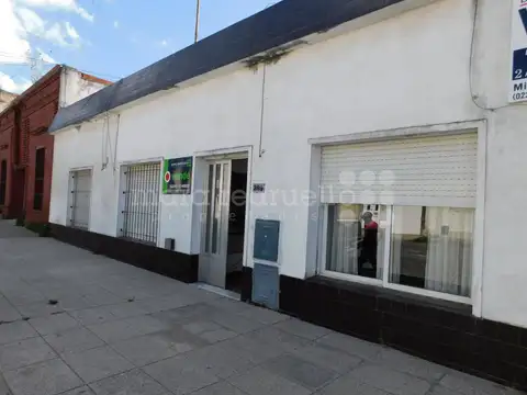 ALVEAR 100