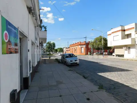ALVEAR 100