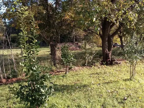 Venta. Casa 5 ambientes. Los Pinos. Exaltacion de la Cruz .