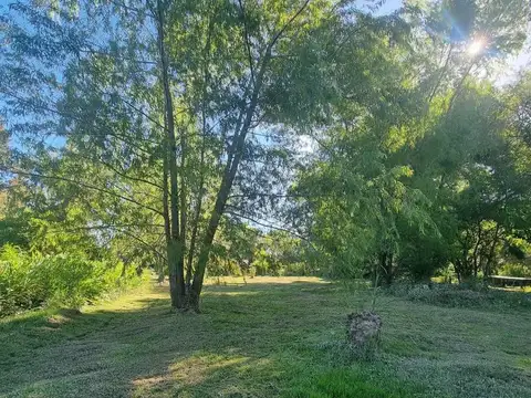 ARROYO SABALO