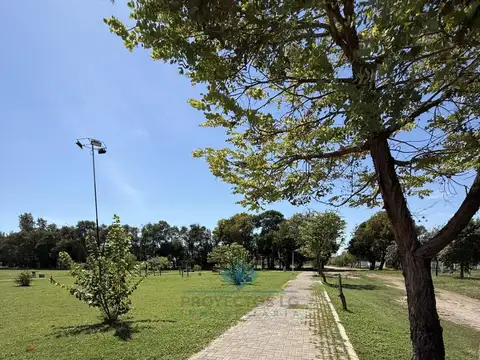 las camelias norte 108