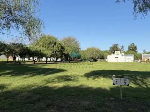 las camelias norte 108