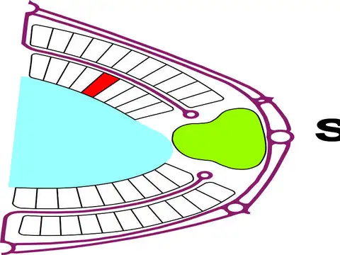 Lote en Barrio Cerrado Punta Médanos - B791