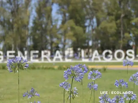 Venta de Lotes en Ecolagos Este | General Lagos