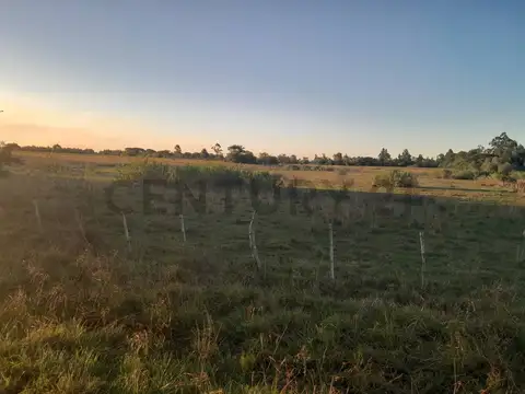 Campo en Venta de 0,01  ha