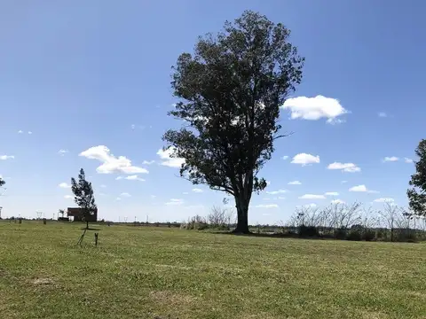 Terreno en Venta en Ezeiza, USD 40.000