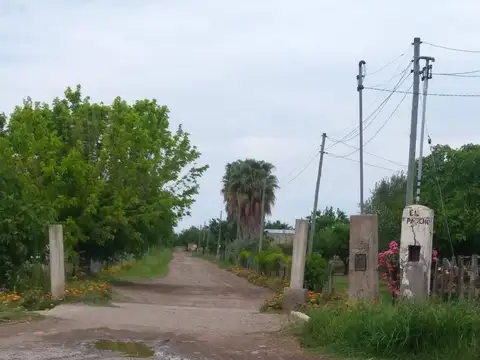 VENTA CAMPO AGRICOLA - CAÑADA SECA -SAN RAFAEL