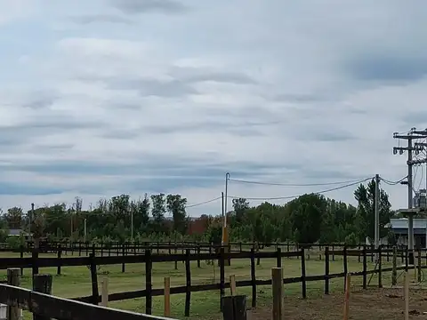 Terreno en Venta de 10000,0 m2