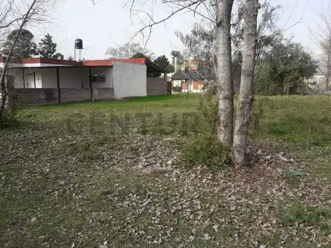 A. Grandoli (entre Timbues y Oliveros) 100