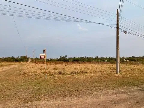 Trébol